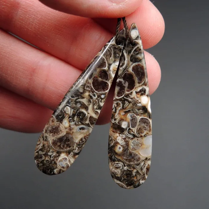 Intrinsic Trading Earrings Natural Turritella Agate Fossil Earring Pair Cabochon Cab Pair Drilled Teardrop Matched Earrings Bead Pair E2450