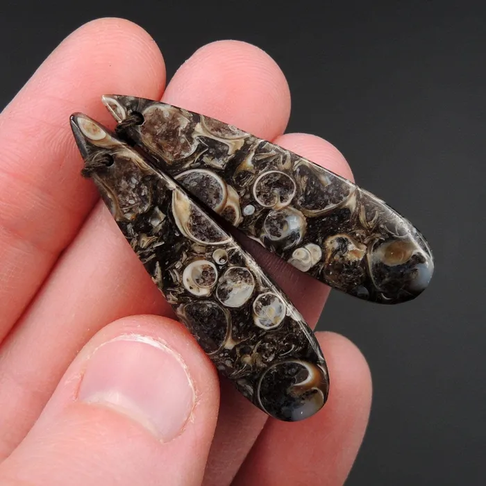 Intrinsic Trading Earrings Natural Turritella Agate Fossil Earring Pair Cabochon Cab Pair Drilled Teardrop Matched Earrings Bead Pair E2451