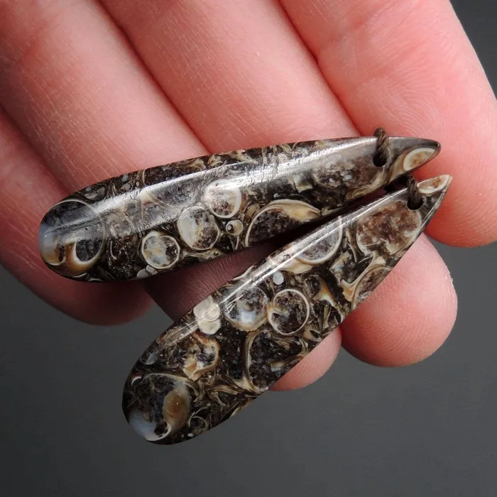 Intrinsic Trading Earrings Natural Turritella Agate Fossil Earring Pair Cabochon Cab Pair Drilled Teardrop Matched Earrings Bead Pair E2451